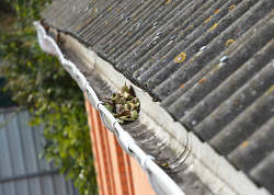 Asbestos roofing and guttering